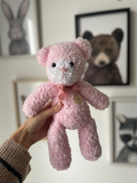 Sasha l'ours en peluche